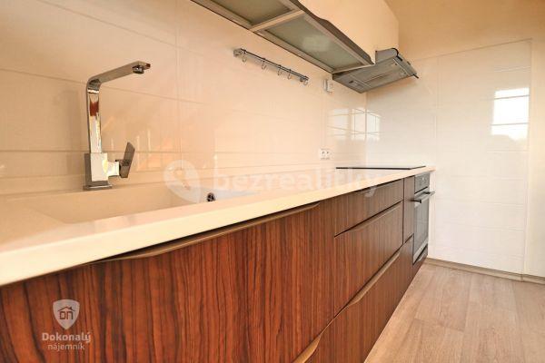 1 bedroom with open-plan kitchen flat to rent, 39 m², Herejkova, 