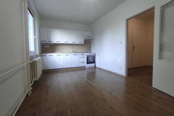 1 bedroom with open-plan kitchen flat to rent, 38 m², Nad stadionem, 