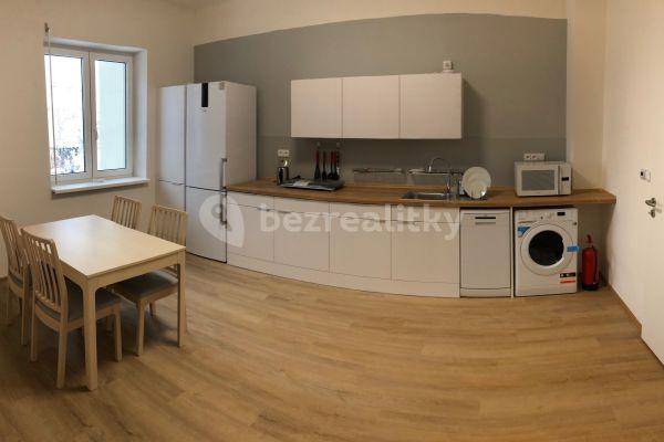 1 bedroom with open-plan kitchen flat to rent, 43 m², Hutařova, Brno
