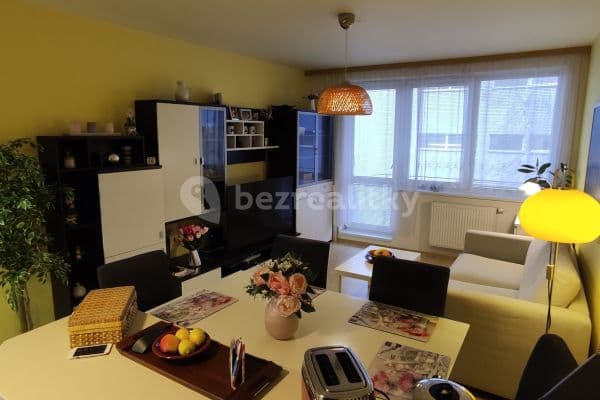 1 bedroom with open-plan kitchen flat to rent, 57 m², U Hostavického potoka, Hlavní město Praha