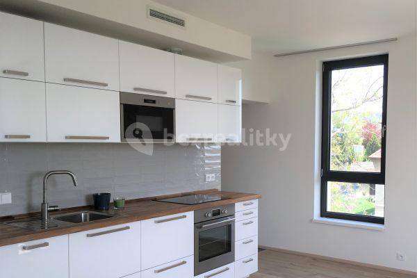1 bedroom with open-plan kitchen flat to rent, 45 m², Karlická, Hlavní město Praha