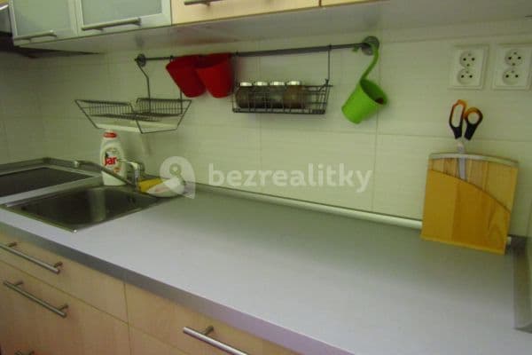 1 bedroom with open-plan kitchen flat to rent, 46 m², Zikova, Brno