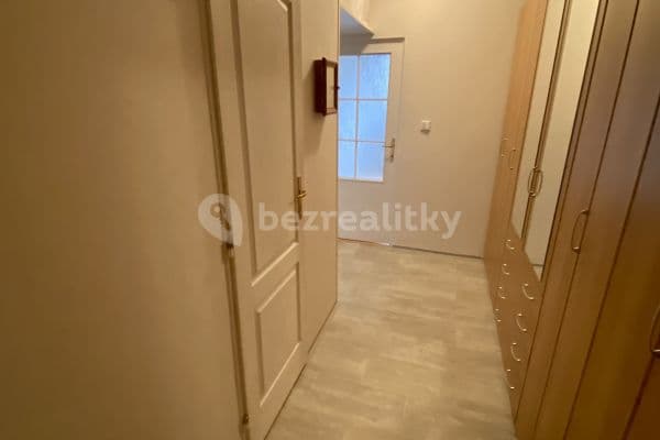 1 bedroom with open-plan kitchen flat to rent, 45 m², U Jezera, Prague, Prague