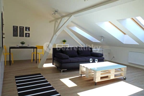 1 bedroom with open-plan kitchen flat to rent, 70 m², Opletalova, Brno