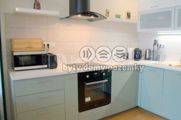 1 bedroom with open-plan kitchen flat to rent, 69 m², Kakosova, Prague, Prague