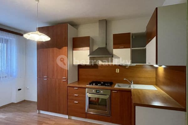 1 bedroom with open-plan kitchen flat to rent, 37 m², Rotalova, Brno 1 bedroom with open-plan kitchen flat to rent, 37 m², Rotalova, Brno