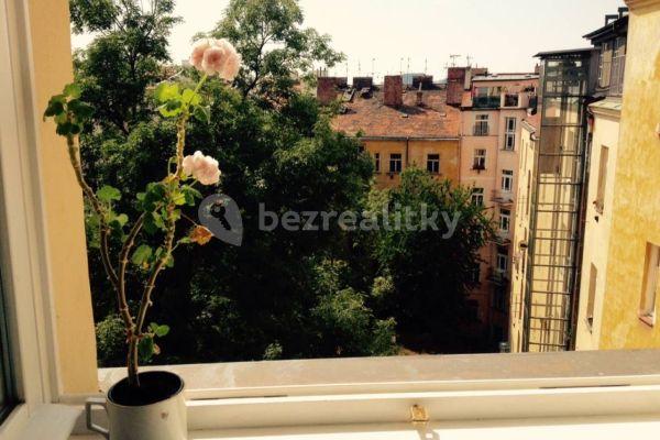 1 bedroom with open-plan kitchen flat to rent, 46 m², Ruská, Praha