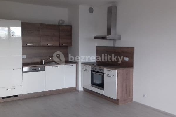 1 bedroom with open-plan kitchen flat to rent, 56 m², Hlučkova, Prague, Prague