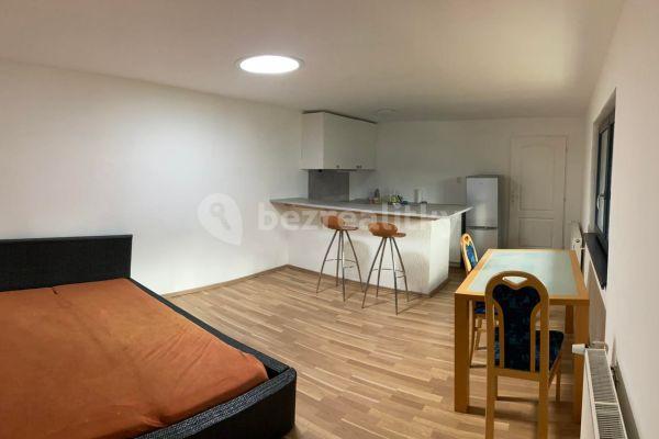 1 bedroom with open-plan kitchen flat to rent, 55 m², Karlštejnská, 