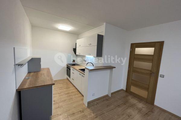 1 bedroom with open-plan kitchen flat to rent, 43 m², Antonína Kaliny, Kolín