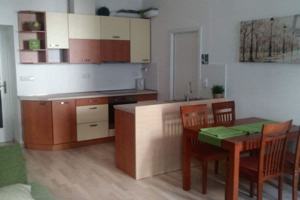 1 bedroom with open-plan kitchen flat to rent, 54 m², Husovická, Brno, Jihomoravský Region 1 bedroom with open-plan kitchen flat to rent, 54 m², Husovická, Brno, Jihomoravský Region