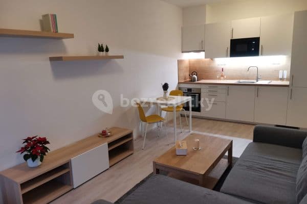 1 bedroom with open-plan kitchen flat to rent, 50 m², Kigginsova, Brno