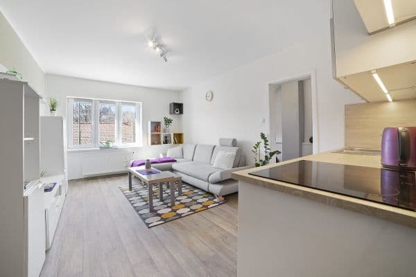 1 bedroom with open-plan kitchen flat to rent, 35 m², Ondřejovská, Mnichovice 1 bedroom with open-plan kitchen flat to rent, 35 m², Ondřejovská, Mnichovice