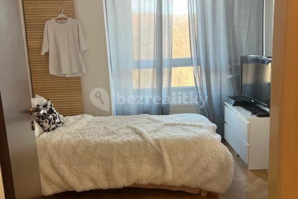 2 bedroom with open-plan kitchen flat to rent, 68 m², Nepomucká, Prague, Prague