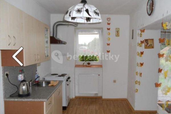 1 bedroom with open-plan kitchen flat to rent, 38 m², Bechyně