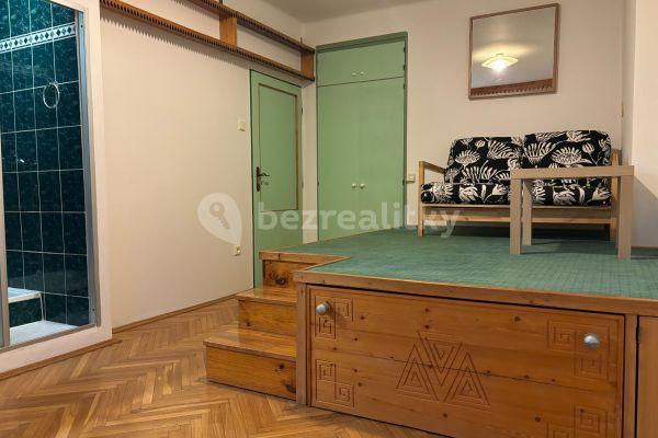 Small studio flat to rent, 21 m², U Slavie, Hlavní město Praha