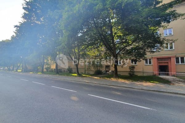 1 bedroom with open-plan kitchen flat to rent, 34 m², U Stromovky, 1 bedroom with open-plan kitchen flat to rent, 34 m², U Stromovky,