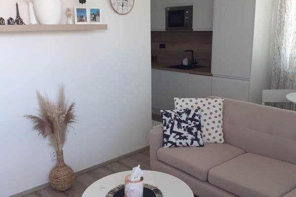 1 bedroom with open-plan kitchen flat to rent, 66 m², Želetická, Praha 1 bedroom with open-plan kitchen flat to rent, 66 m², Želetická, Praha