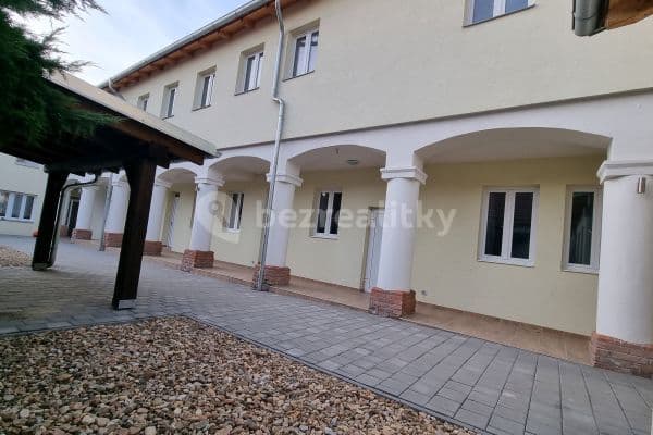 1 bedroom with open-plan kitchen flat to rent, 43 m², Charbulova, Brno