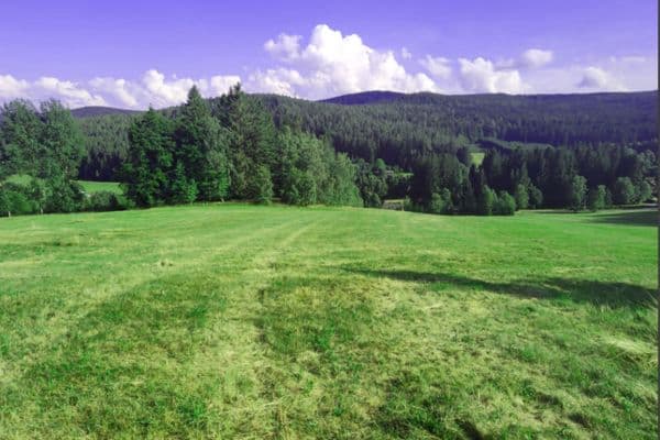 plot for sale, 7,699 m², Zdíkov plot for sale, 7,699 m², Zdíkov