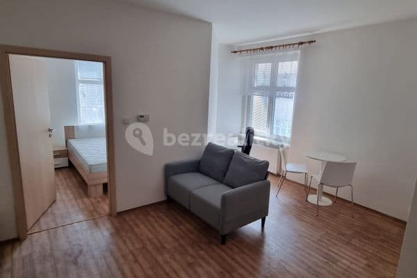 1 bedroom with open-plan kitchen flat to rent, 45 m², Soudní, Prague, Prague
