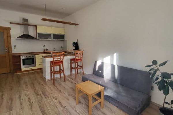 1 bedroom with open-plan kitchen flat to rent, 45 m², Na Výsledku I, Praha 1 bedroom with open-plan kitchen flat to rent, 45 m², Na Výsledku I, Praha