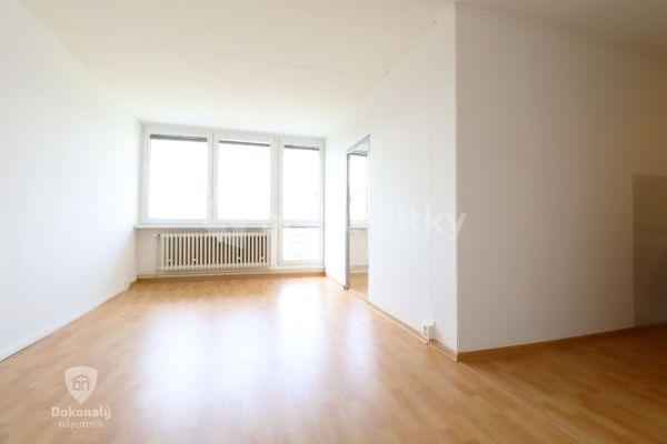 1 bedroom with open-plan kitchen flat to rent, 48 m², Nekvasilova, 