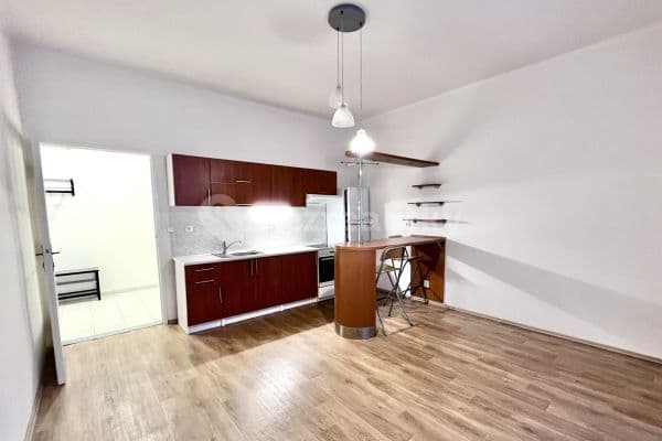 1 bedroom with open-plan kitchen flat to rent, 60 m², Žitomírská, Hlavní město Praha