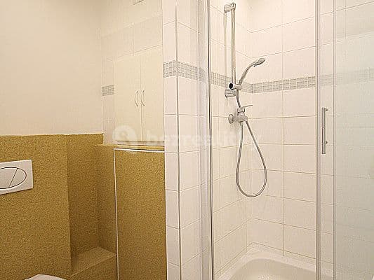 1 bedroom with open-plan kitchen flat to rent, 40 m², Čs. armády, Kladno
