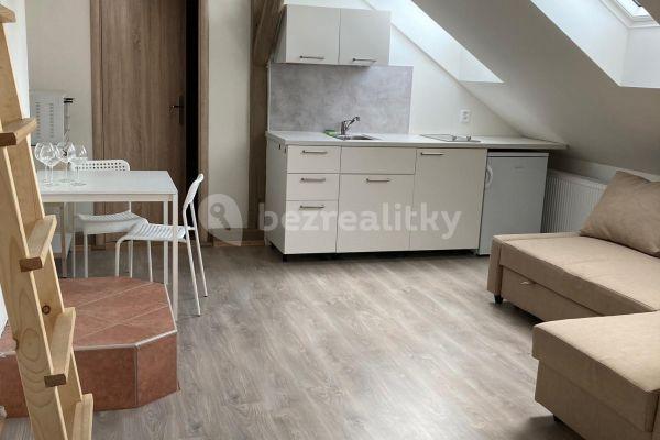 1 bedroom with open-plan kitchen flat to rent, 45 m², Za Pasáží, Pardubice, Pardubický Region
