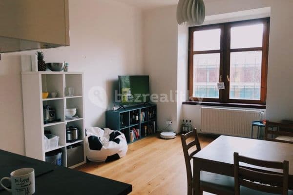 1 bedroom with open-plan kitchen flat to rent, 50 m², Ruská, Prague, Prague