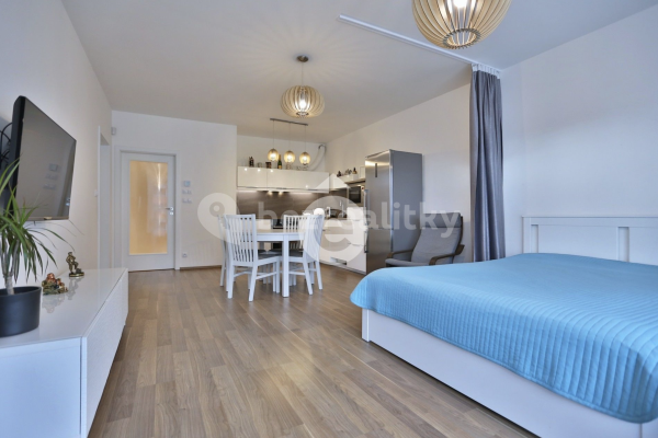 1 bedroom with open-plan kitchen flat to rent, 131 m², Pýchavková, Praha