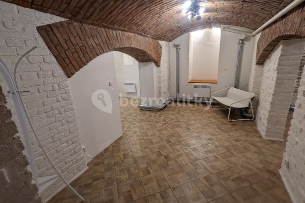 1 bedroom with open-plan kitchen flat to rent, 56 m², Příběnická, Praha