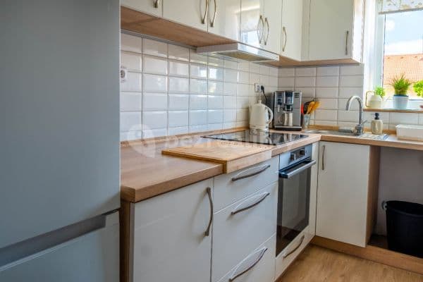1 bedroom with open-plan kitchen flat to rent, 48 m², Krkonošská, Liberec, Liberecký Region 1 bedroom with open-plan kitchen flat to rent, 48 m², Krkonošská, Liberec, Liberecký Region
