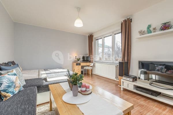 1 bedroom flat to rent, 42 m², Krupka, Ústecký Region