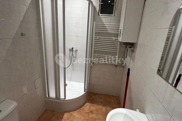1 bedroom with open-plan kitchen flat to rent, 42 m², U Pošty, 