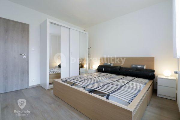 1 bedroom with open-plan kitchen flat to rent, 45 m², Voskovcova, 