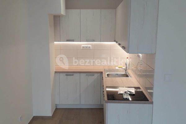 1 bedroom with open-plan kitchen flat to rent, 48 m², Prague, Prague