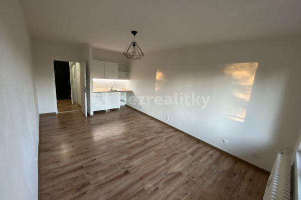 Studio flat to rent, 32 m², Hornopolní, 