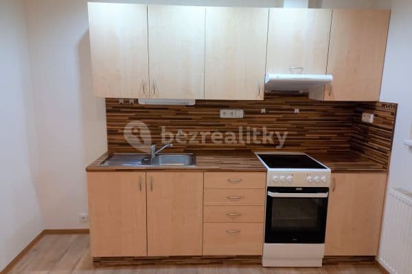 2 bedroom with open-plan kitchen flat to rent, 54 m², Karáskovo náměstí, Brno, Jihomoravský Region
