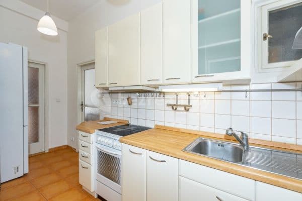 1 bedroom with open-plan kitchen flat to rent, 50 m², Prague, Prague