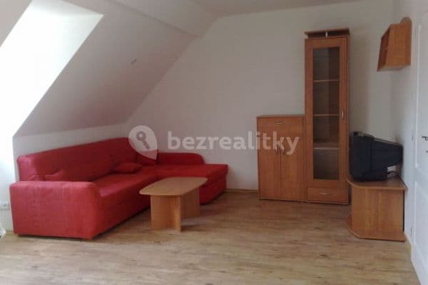 1 bedroom with open-plan kitchen flat to rent, 56 m², Ledčice, Středočeský Region