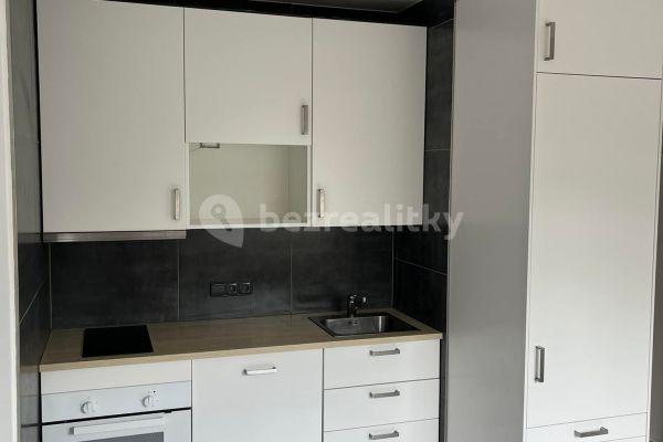 1 bedroom with open-plan kitchen flat to rent, 36 m², Ústí nad Labem, Ústecký Region