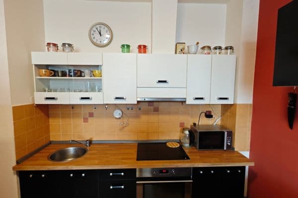 1 bedroom with open-plan kitchen flat for sale, 49 m², Milovice 1 bedroom with open-plan kitchen flat for sale, 49 m², Milovice