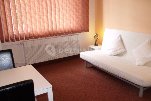 1 bedroom with open-plan kitchen flat to rent, 42 m², Tyršova, 