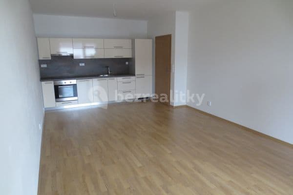 1 bedroom with open-plan kitchen flat to rent, 56 m², Brno, Jihomoravský Region