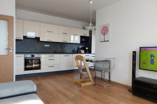 2 bedroom with open-plan kitchen flat to rent, 55 m², Na Horizontu, 2 bedroom with open-plan kitchen flat to rent, 55 m², Na Horizontu,