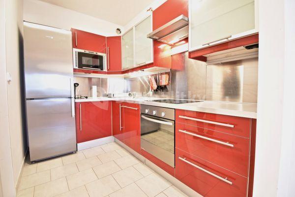 1 bedroom with open-plan kitchen flat to rent, 64 m², Prague, Prague