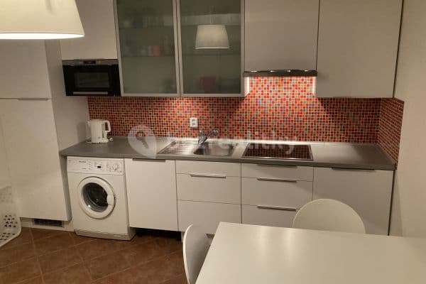 1 bedroom with open-plan kitchen flat to rent, 60 m², Jevanská, Prague, Prague