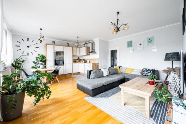 1 bedroom with open-plan kitchen flat to rent, 56 m², U Svobodárny, Praha